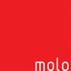 molo design logo