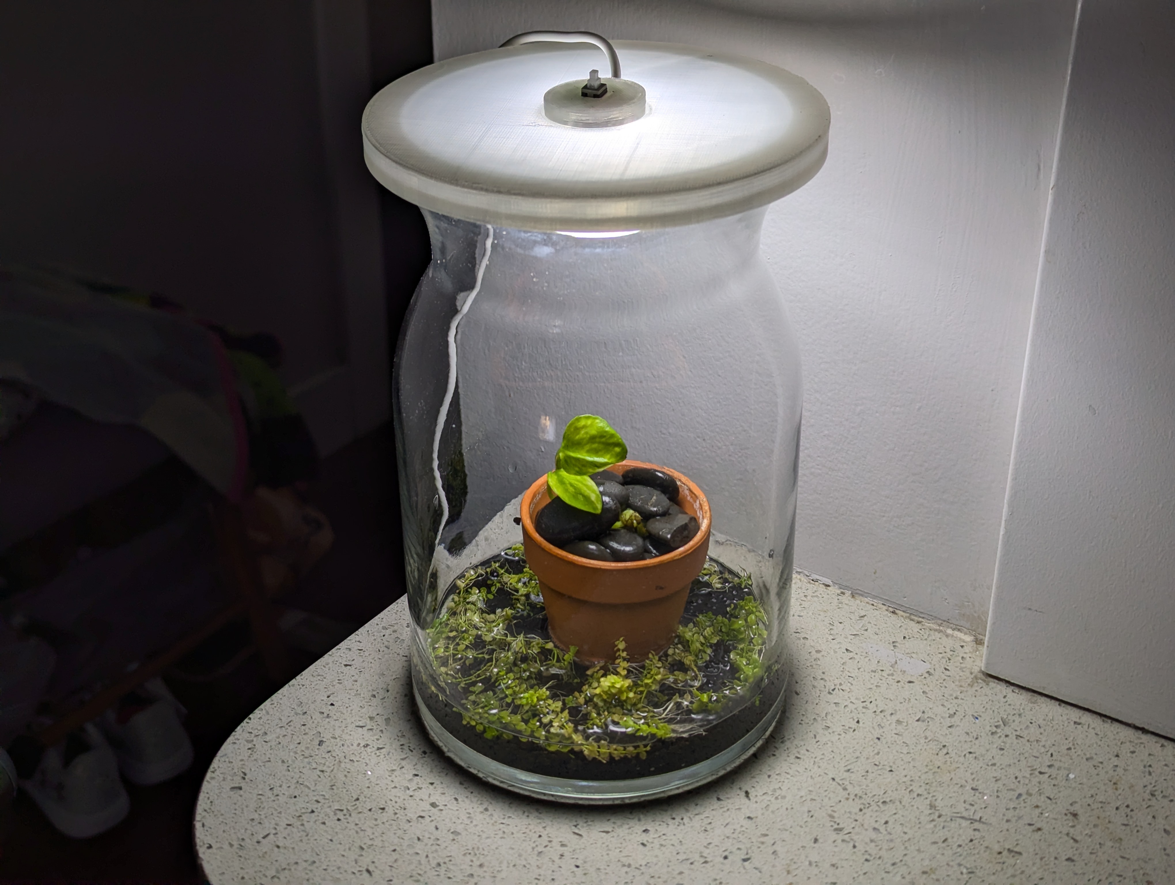 Initial set up