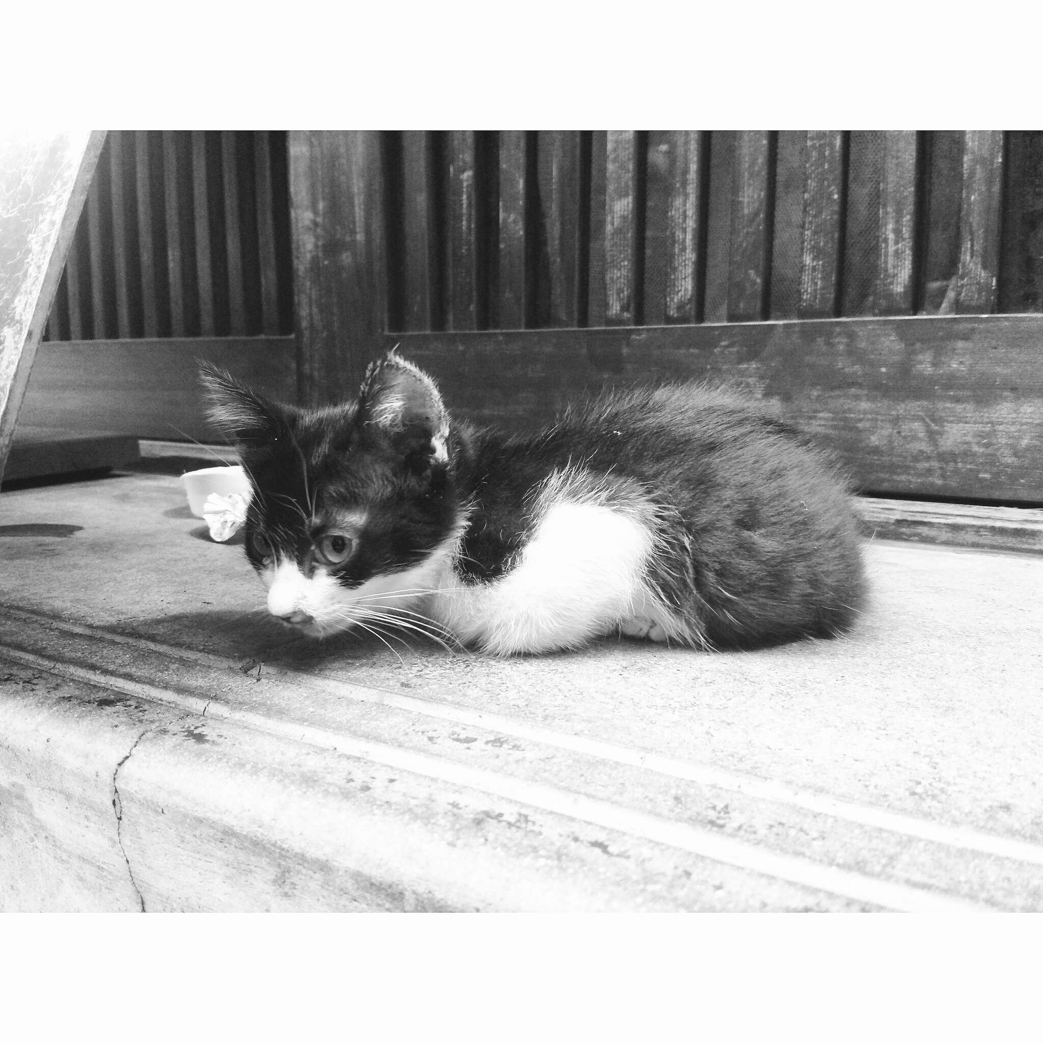 Minimal scene composition