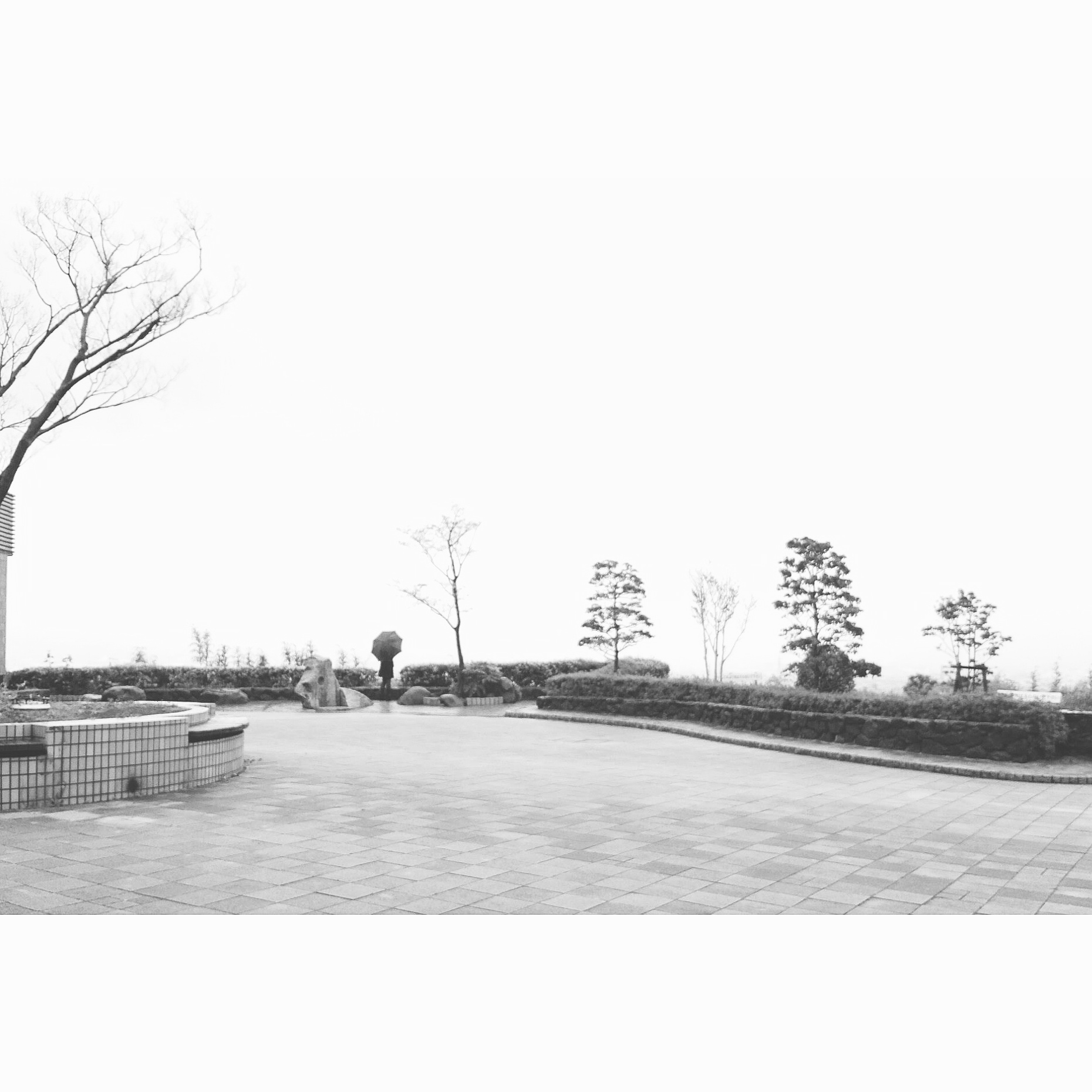 Silhouette and negative space