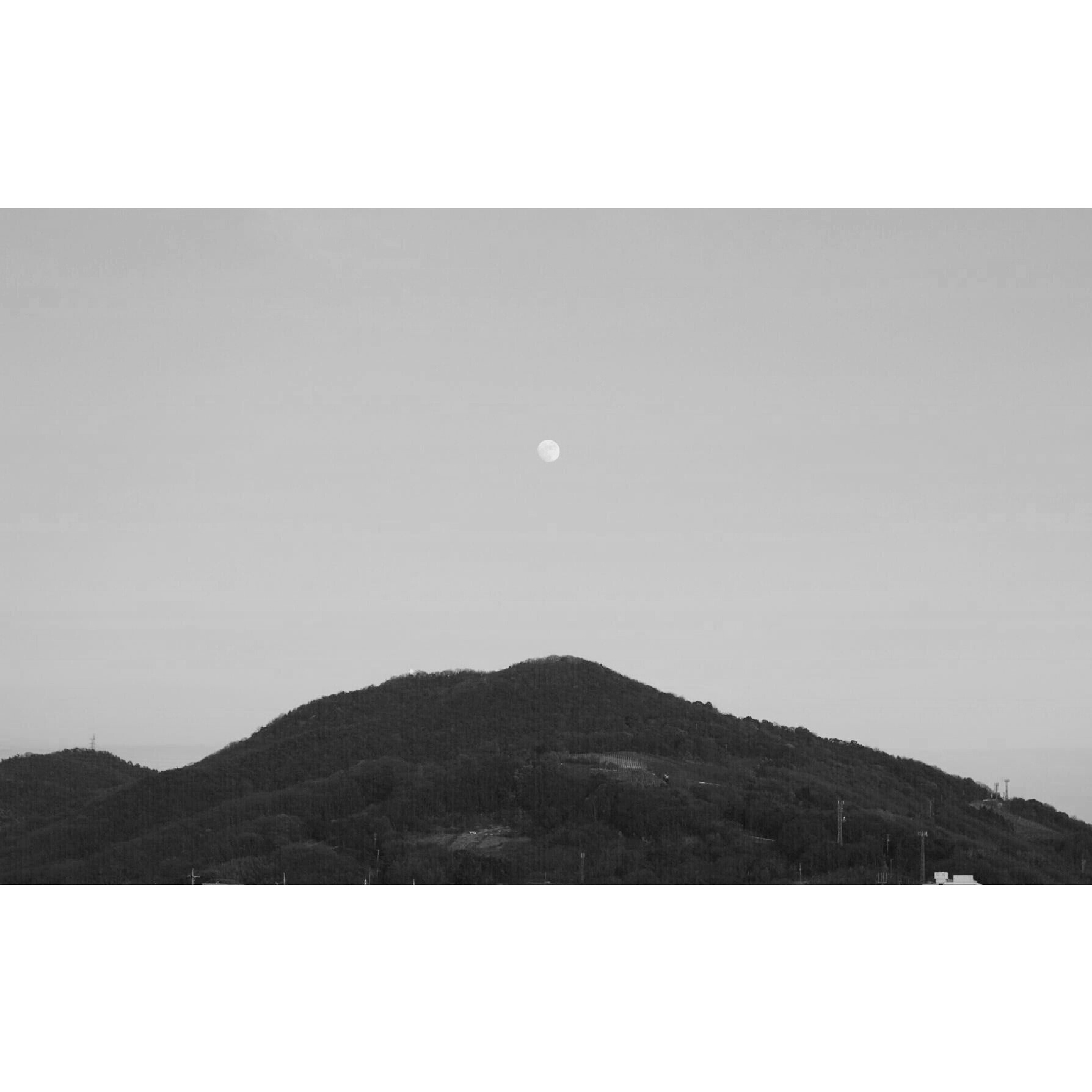 Natural light portrait