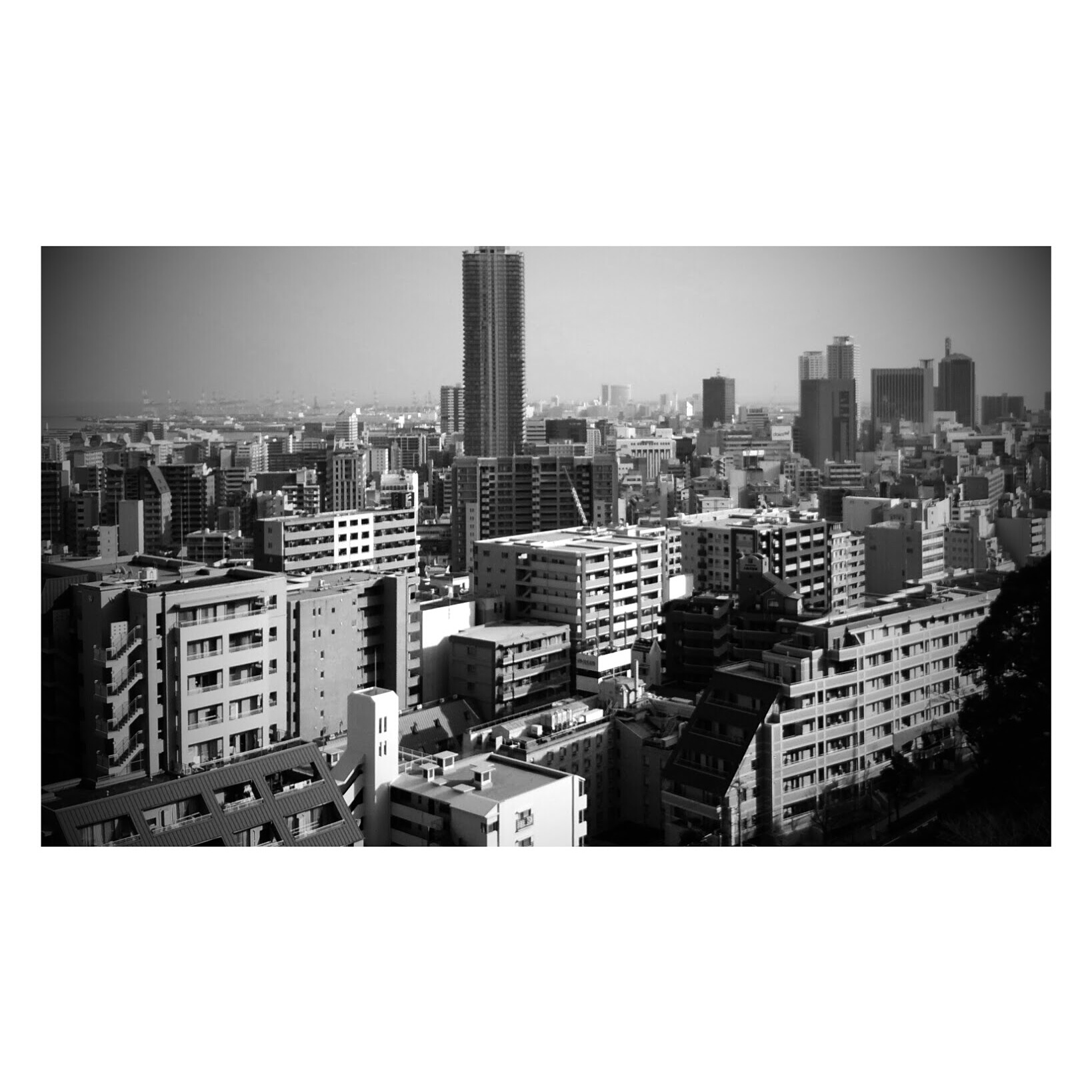 Close-up texture study