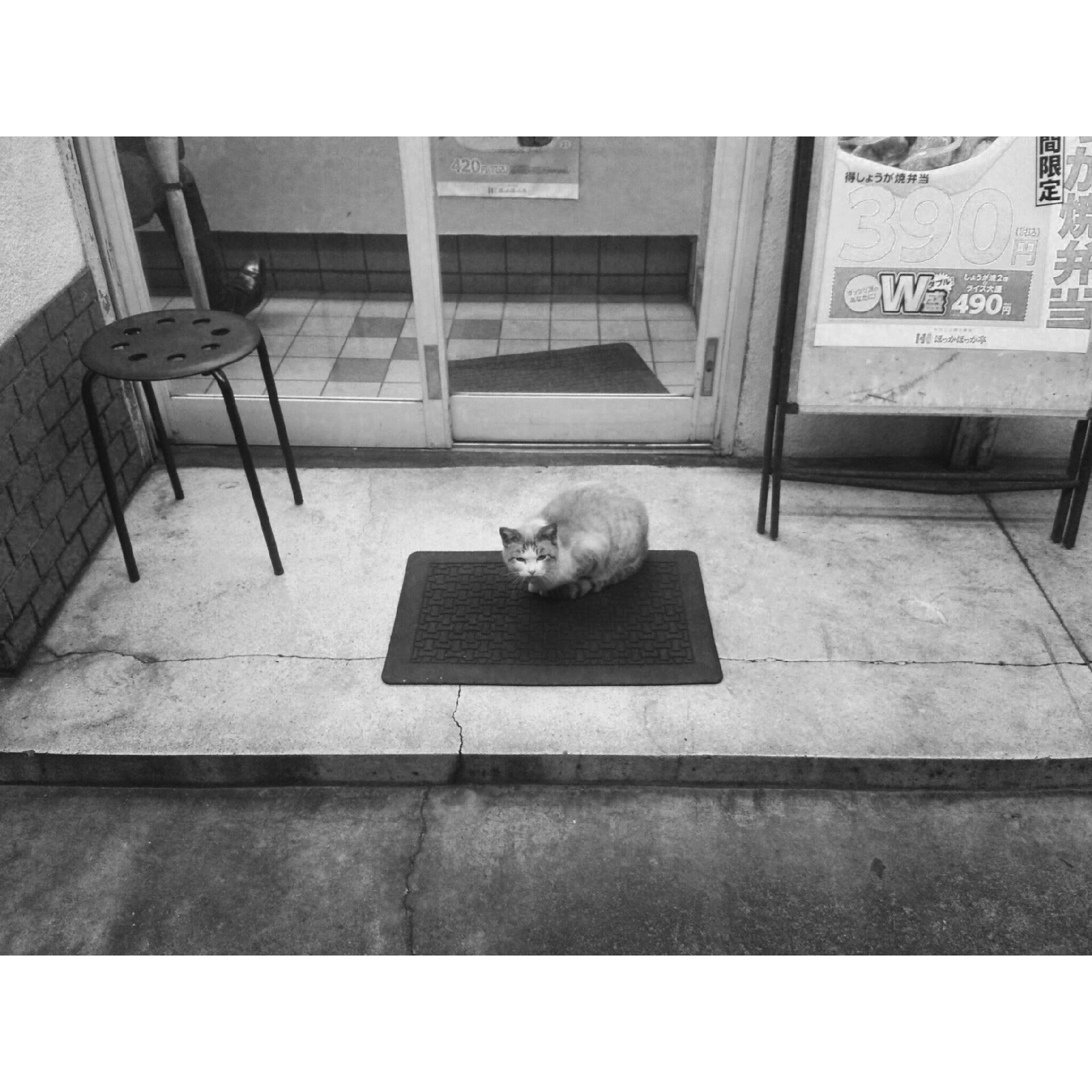 Street portrait in monochrome