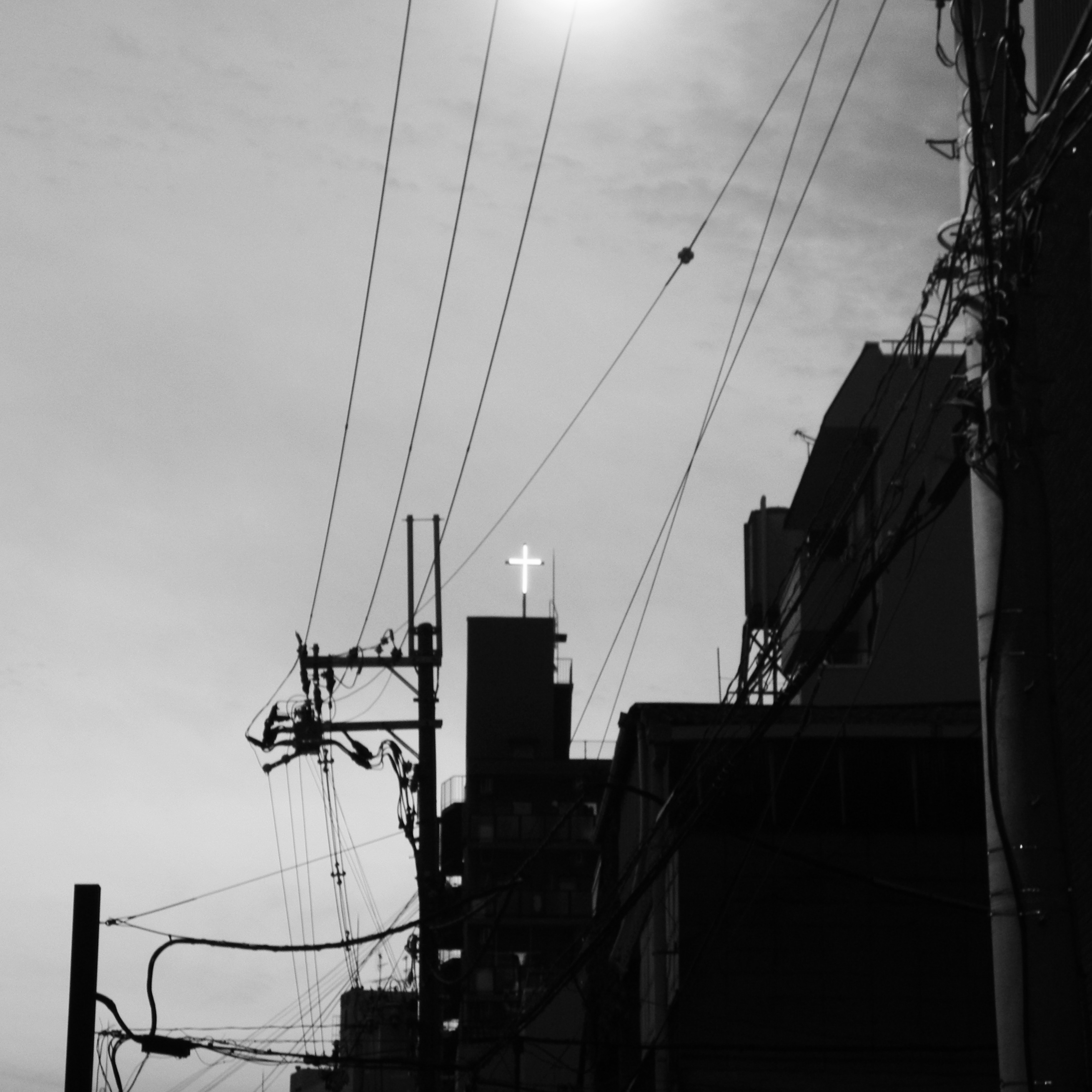 Nature detail in monochrome