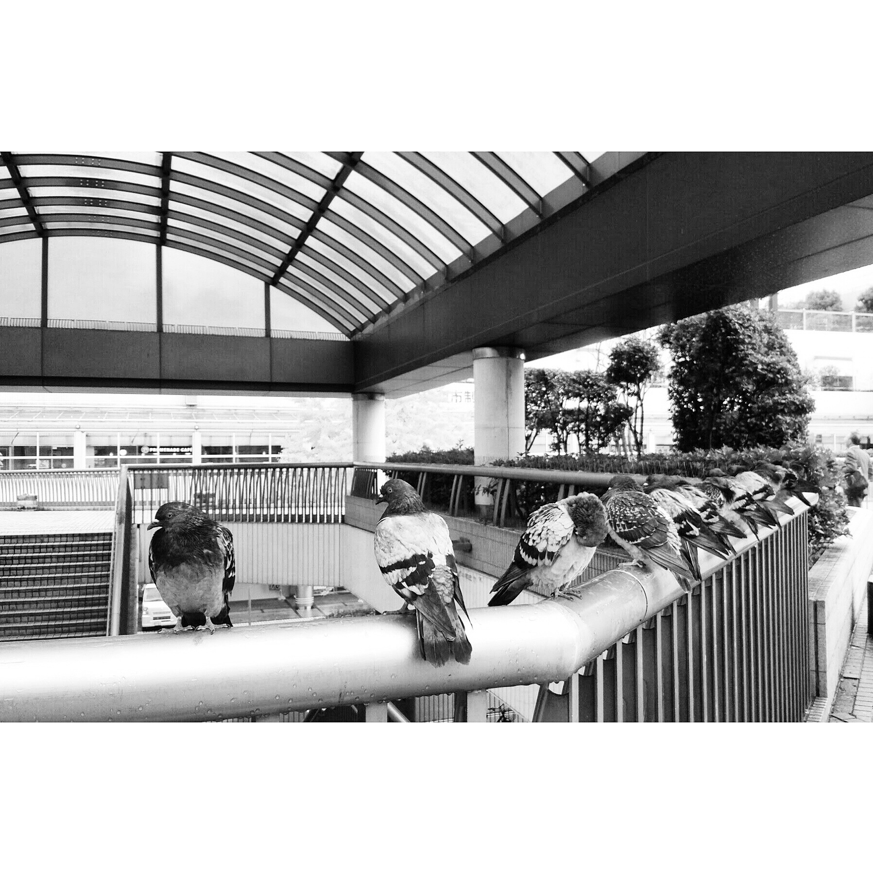 Architectural symmetry