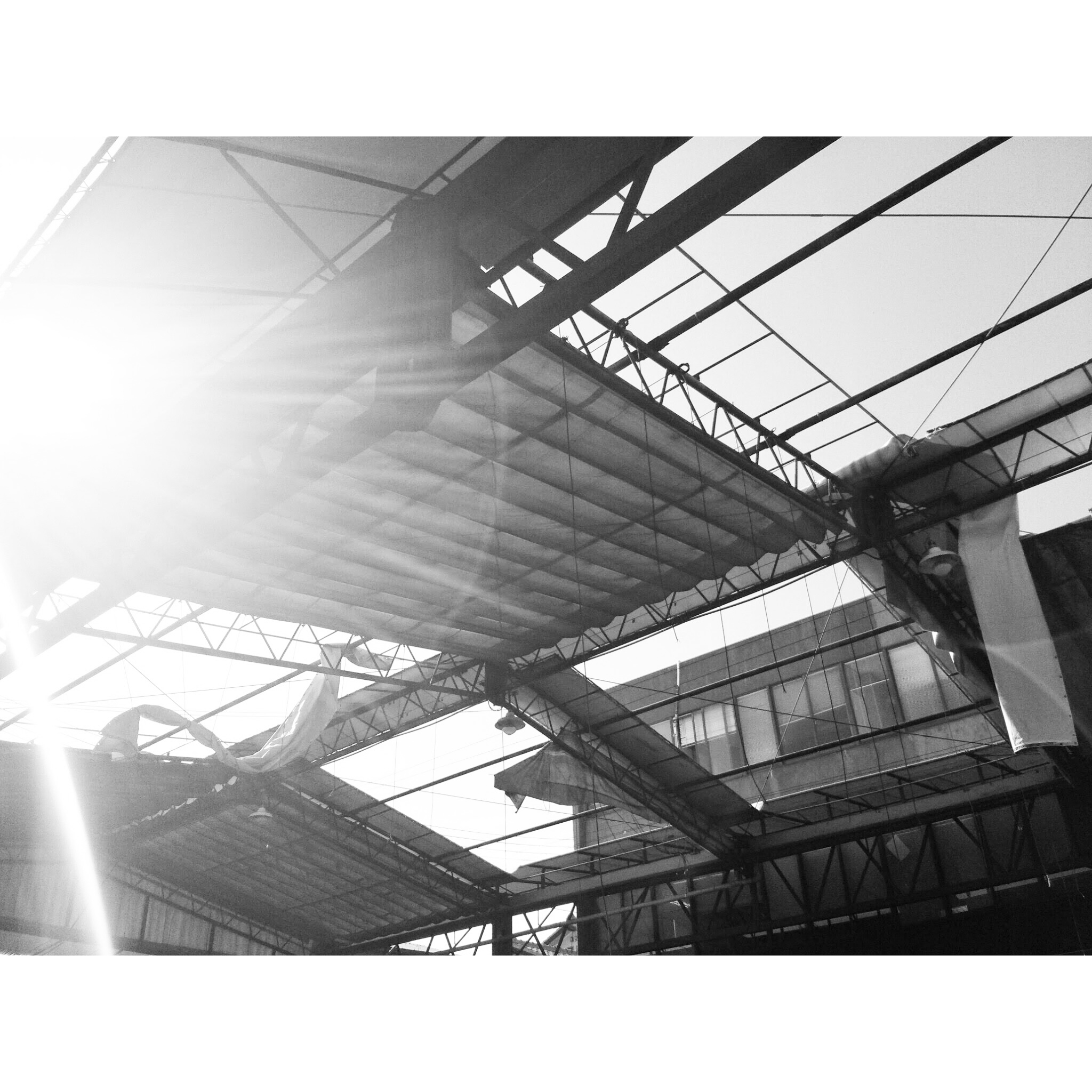 High-contrast portrait