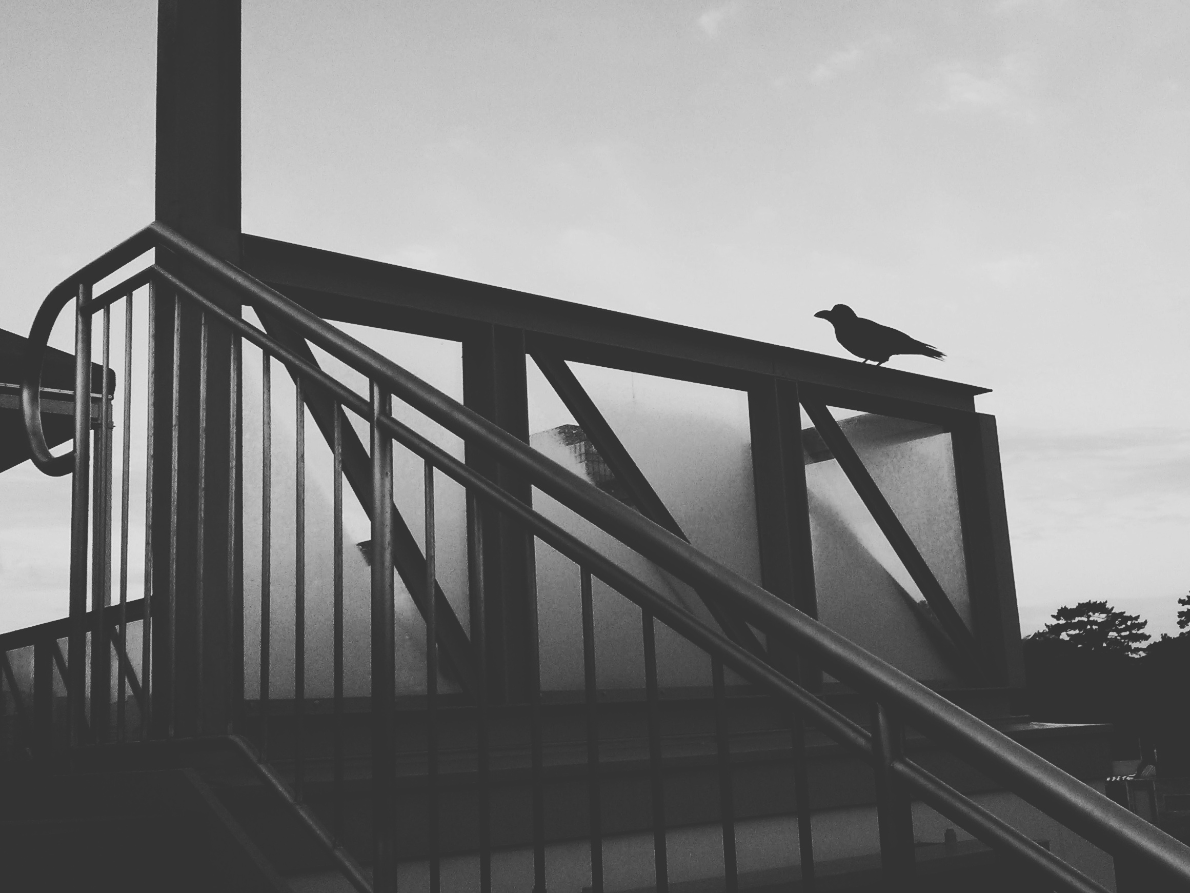 Motion blur black and white